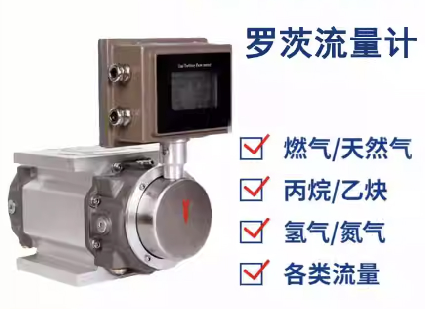 DN25氣體羅茨流量計