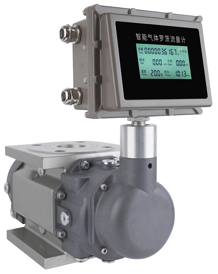 羅茨容積式流量計產(chǎn)品圖片